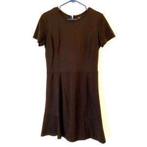 Lined Black Fit n Flare Dress